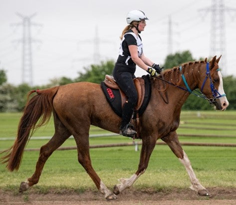 Coxy Endurance Pad Modell Anna Classic