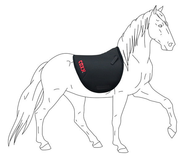 Coxy Endurance Pad Modell Anna Classic