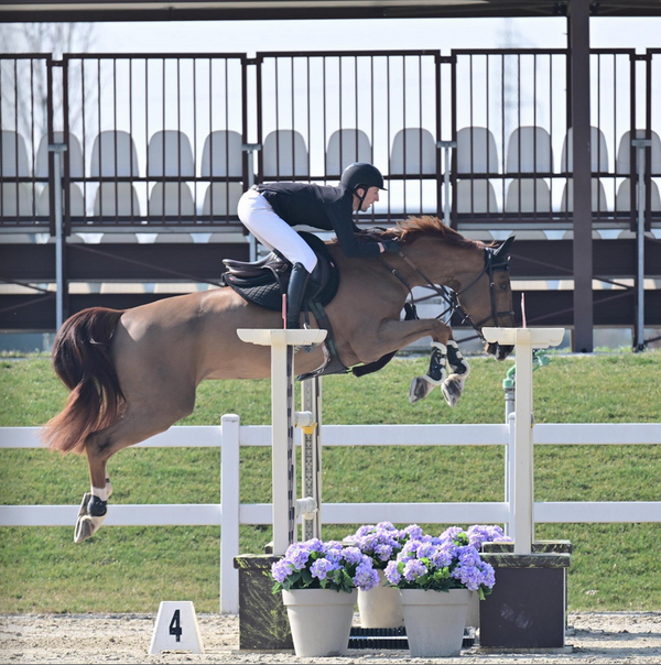 Coxy Show Jumping Classic